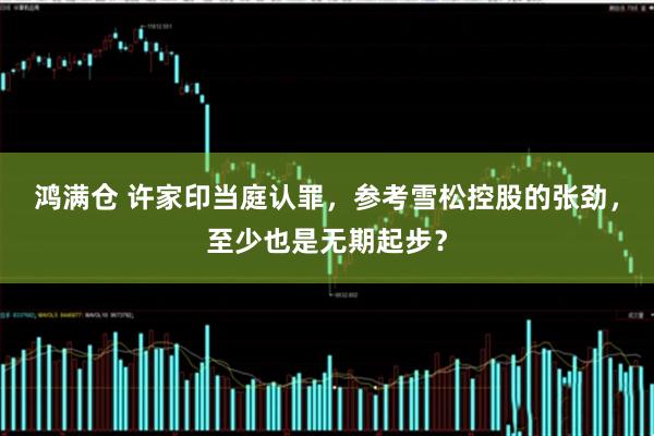鸿满仓 许家印当庭认罪,参考雪松控股的张劲,至少也是无期起步?